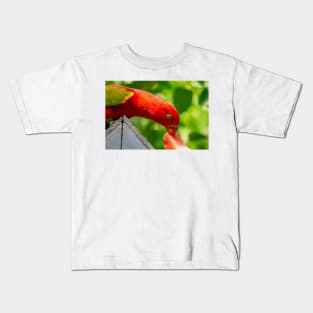 close up of a macaw Kids T-Shirt